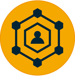 Network of Investor